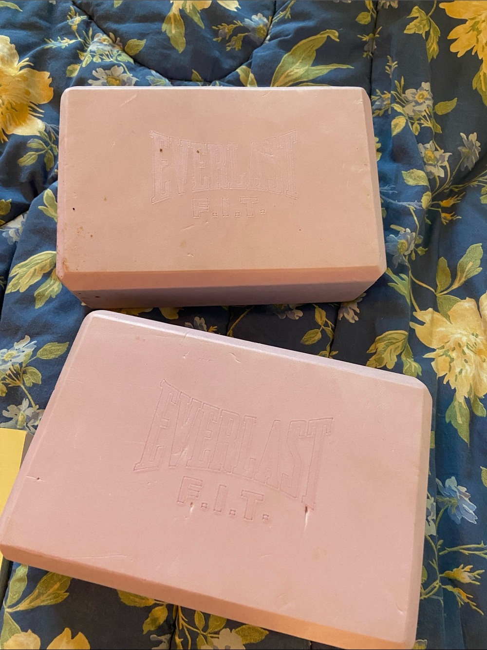 Everlast Purple yoga blocks
